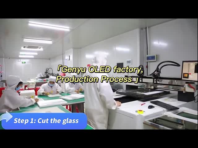 Chine Shenzhen Genyu Optical Co., Ltd. Profil de l'entreprise