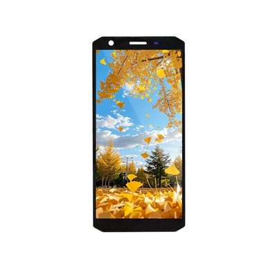 Un bon prix. 5Module d'affichage LCD TFT de 45 pouces 720x1440 Interface MIPI en ligne